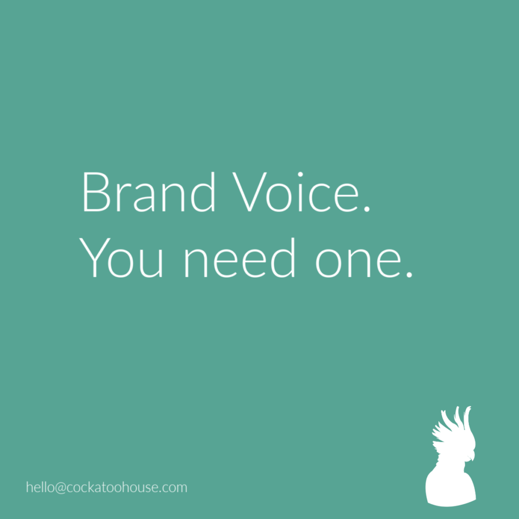 meme explaining why you need to develop and use a Brand Voice in your business